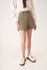 Vander Shorts in Pine Grey