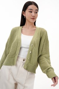 Ginette Knit Cardigan in Pistachio
