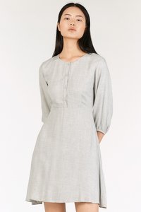 Alsie Dress in Grey