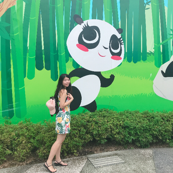 JIAYI SONG